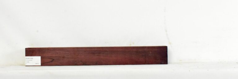 Purpleheart 11 PURP1599_1