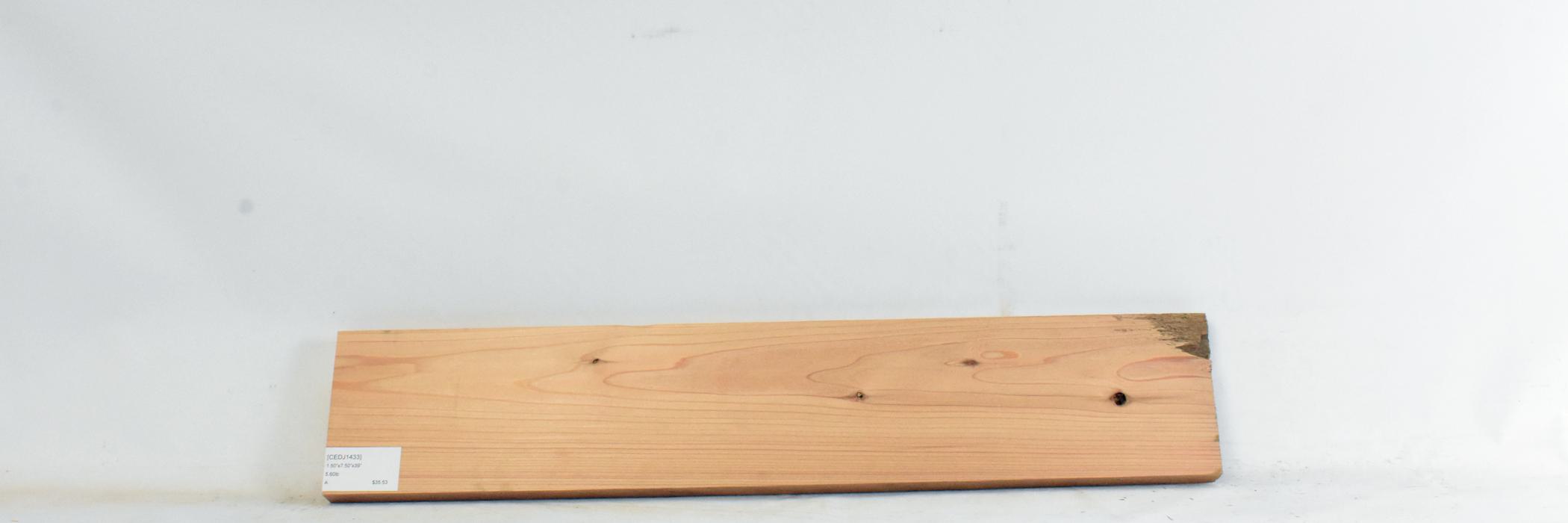 Cedar - Japanese 2 CEDJ1433_2