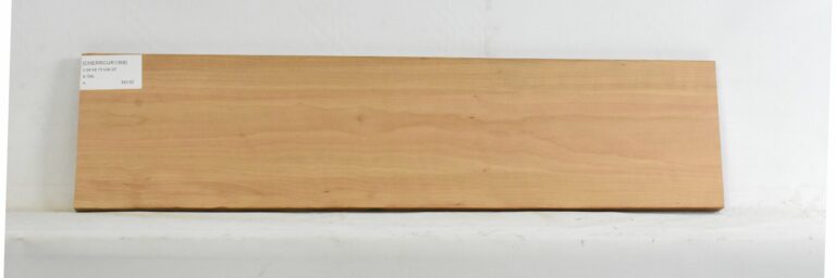 Cherry - American Curly 8 CHERRCUR1368_1