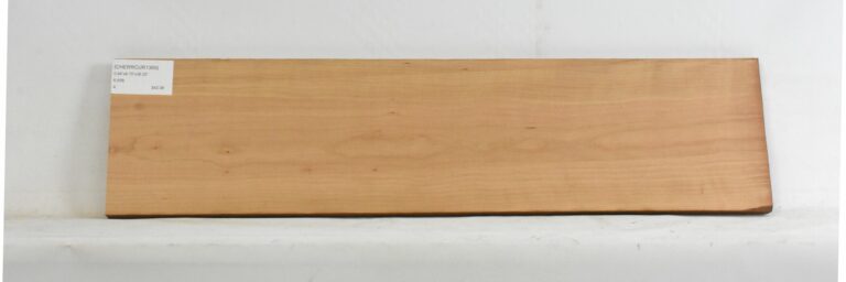 Cherry - American Curly 7 CHERRCUR1369_1