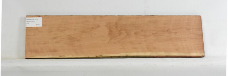 Cherry - American Curly 6 CHERRCUR1370_1