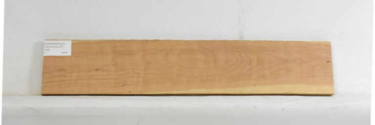 Cherry - American Curly 5 CHERRCUR1371_1