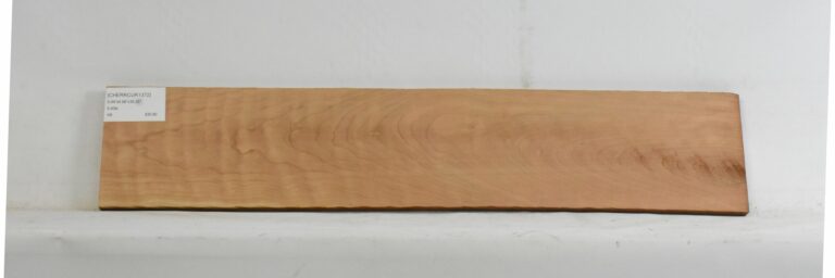 Cherry - American Curly 4 CHERRCUR1372_1