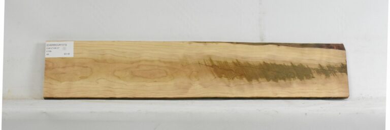 Cherry - American Curly 3 CHERRCUR1373_1