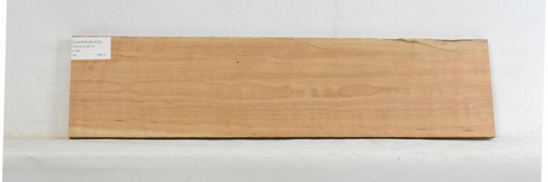 Cherry - American Curly 2 CHERRCUR1374_1