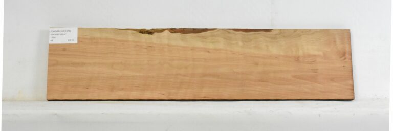 Cherry - American Curly 1 CHERRCUR1375_1