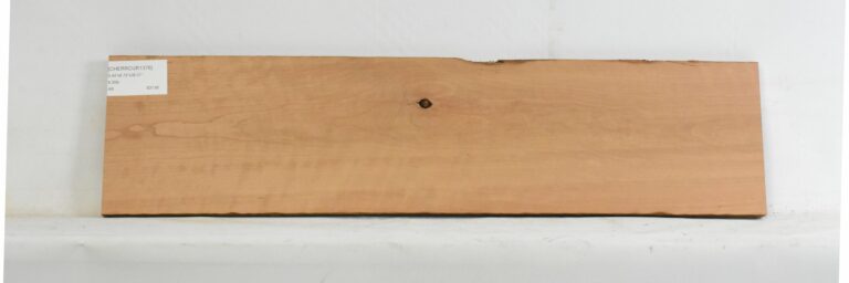 Cherry - American Curly 12 CHERRCUR1376_1