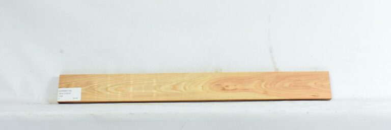 Cypress - Swamp 16 CYPSW1119_1