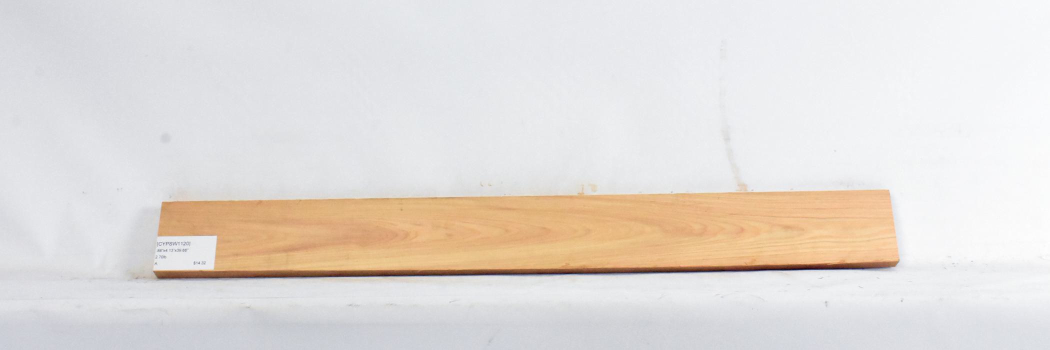 Cypress - Swamp 1 CYPSW1120_1