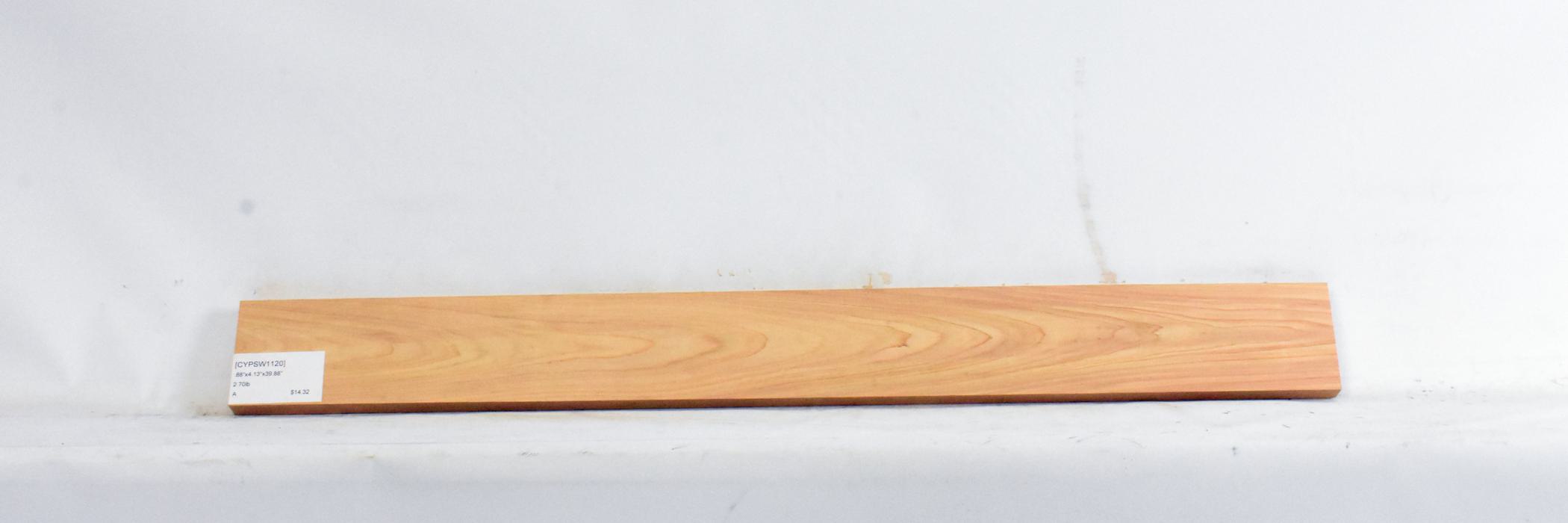 Cypress - Swamp 2 CYPSW1120_2