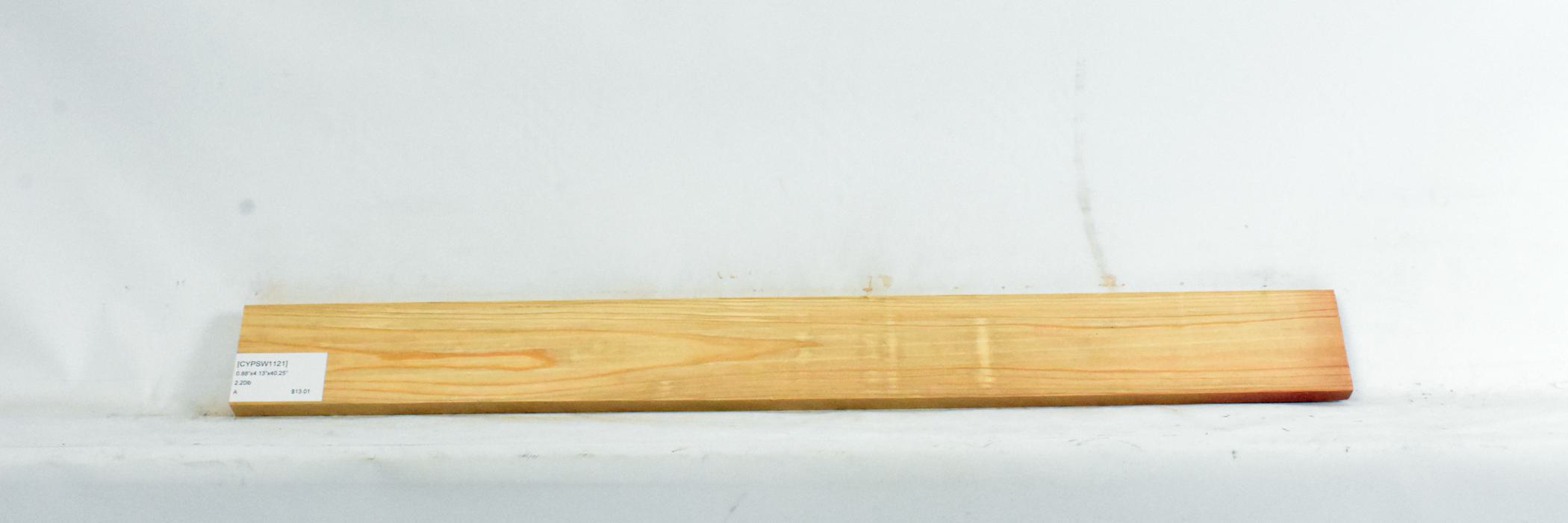 Cypress - Swamp 1 CYPSW1121_1