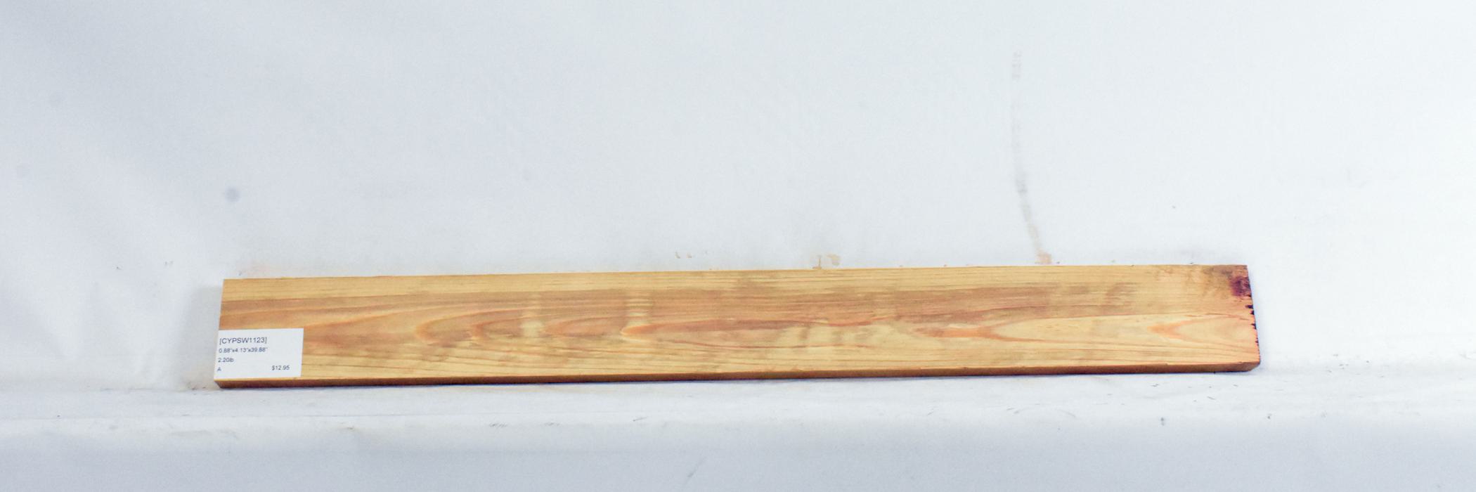 Cypress - Swamp 2 CYPSW1123_2