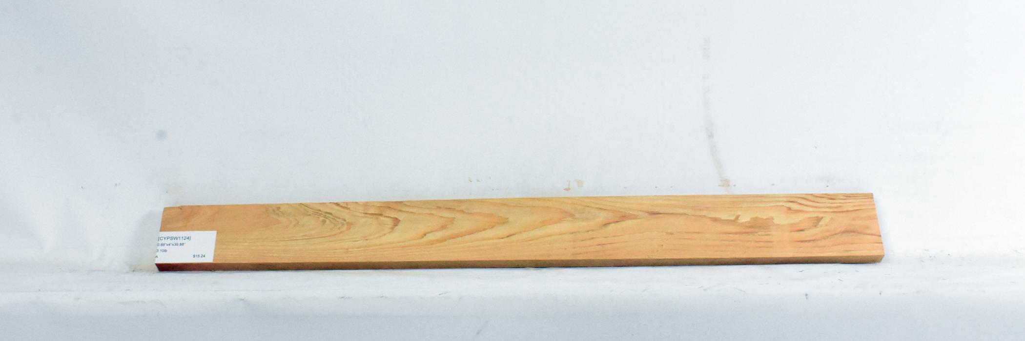 Cypress - Swamp 1 CYPSW1124_1