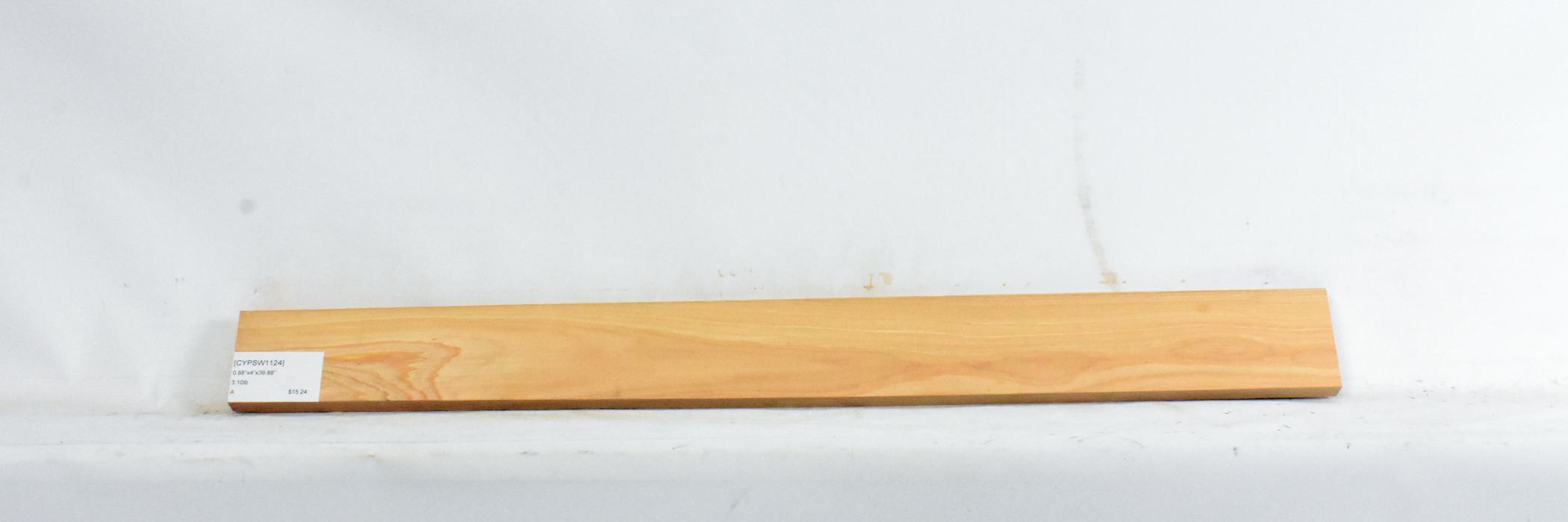 Cypress - Swamp 2 CYPSW1124_2