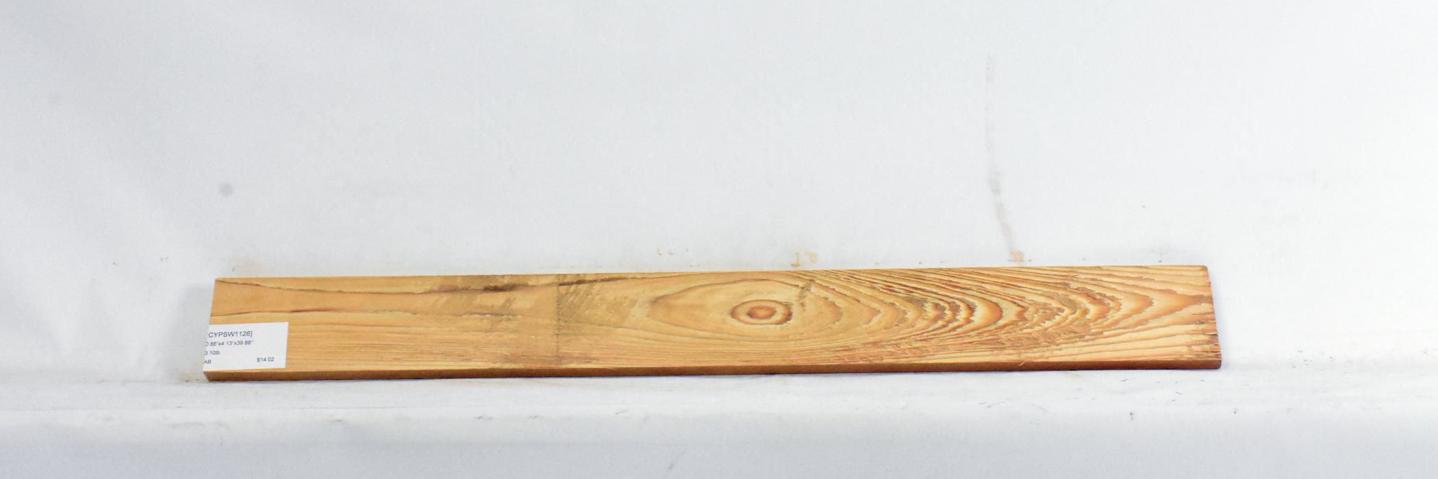 Cypress - Swamp 1 CYPSW1126_1