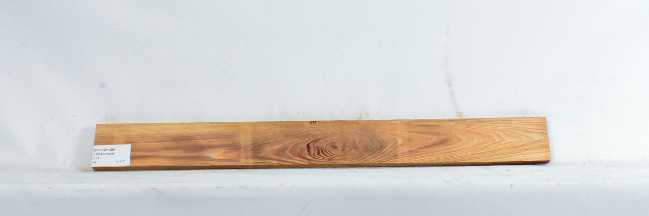 Cypress - Swamp 2 CYPSW1126_2