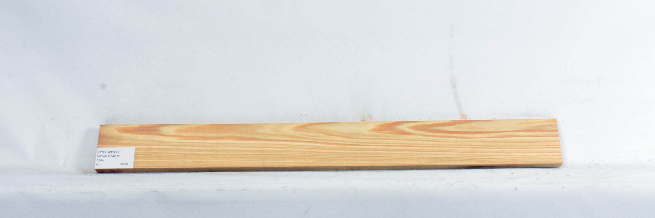 Cypress - Swamp 1 CYPSW1127_1