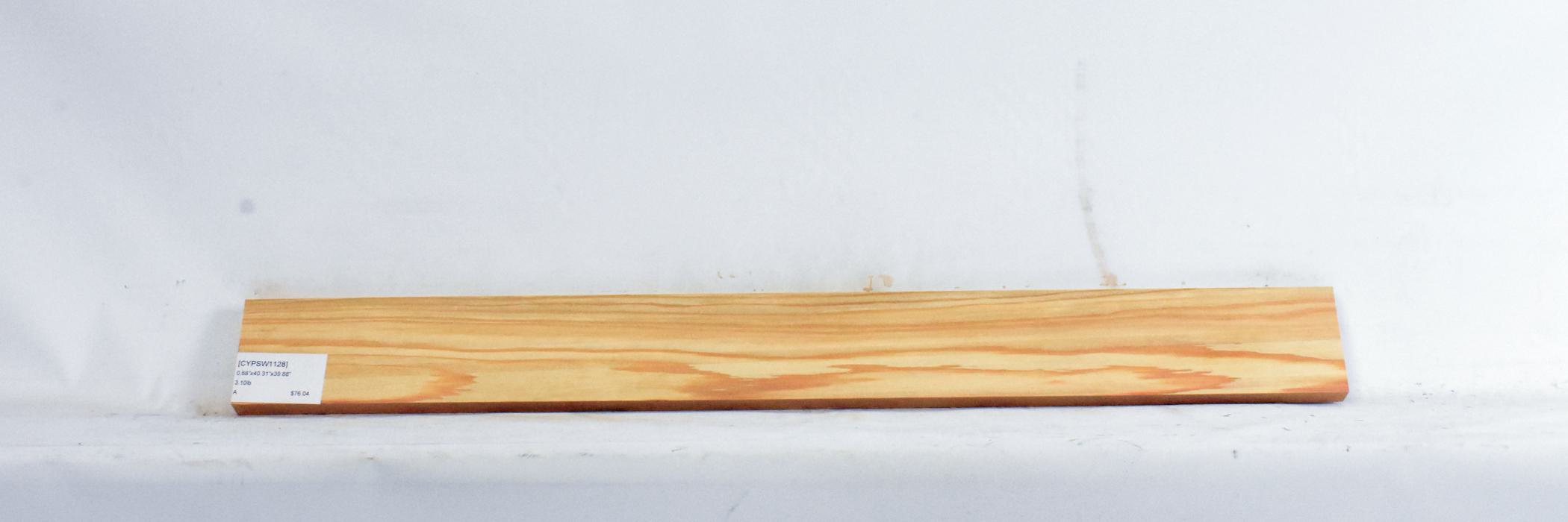 Cypress - Swamp 1 CYPSW1128_1