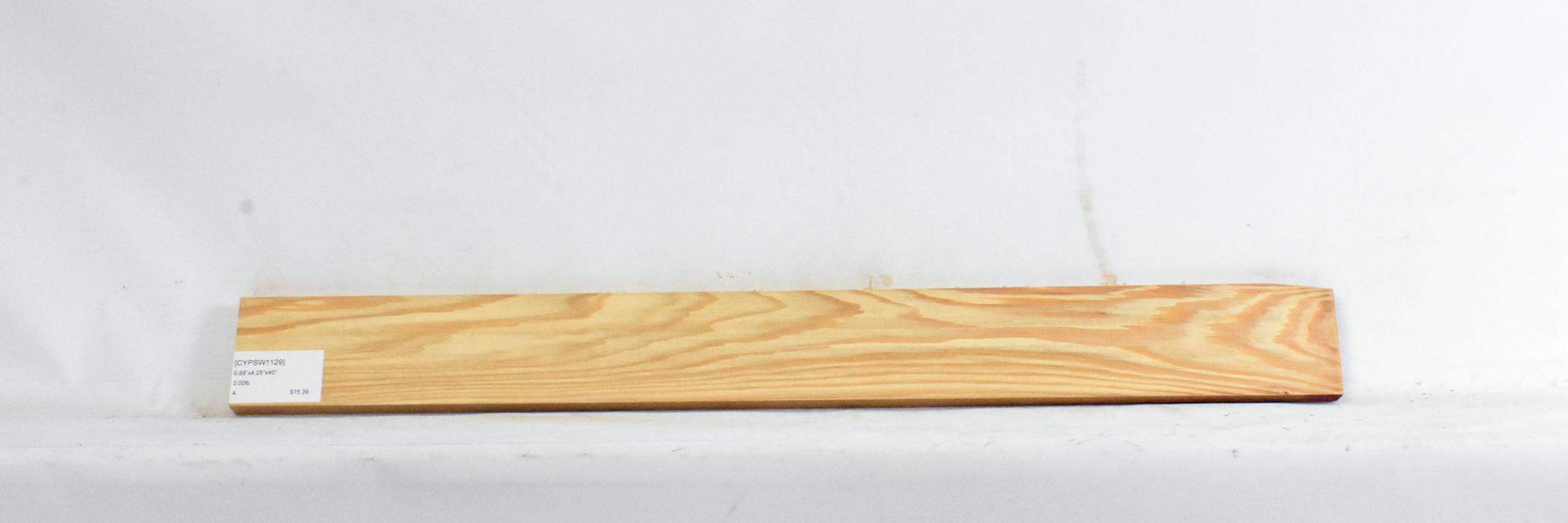 Cypress - Swamp 1 CYPSW1129_1