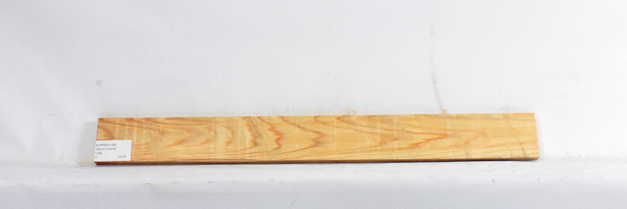 Cypress - Swamp 1 CYPSW1130_1