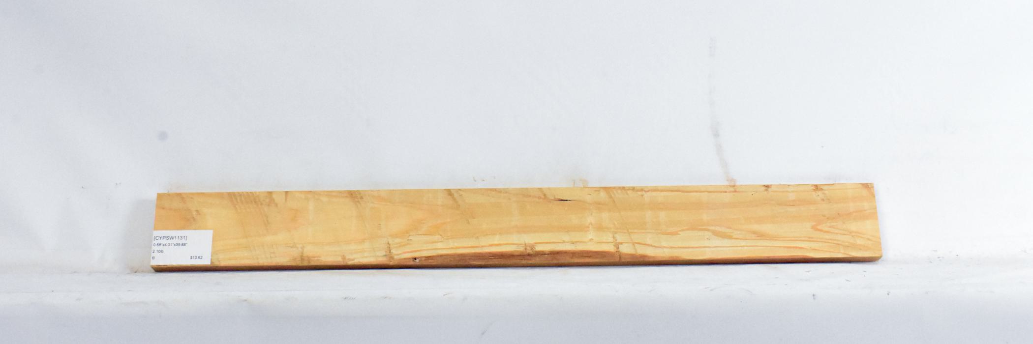 Cypress - Swamp 2 CYPSW1131_2