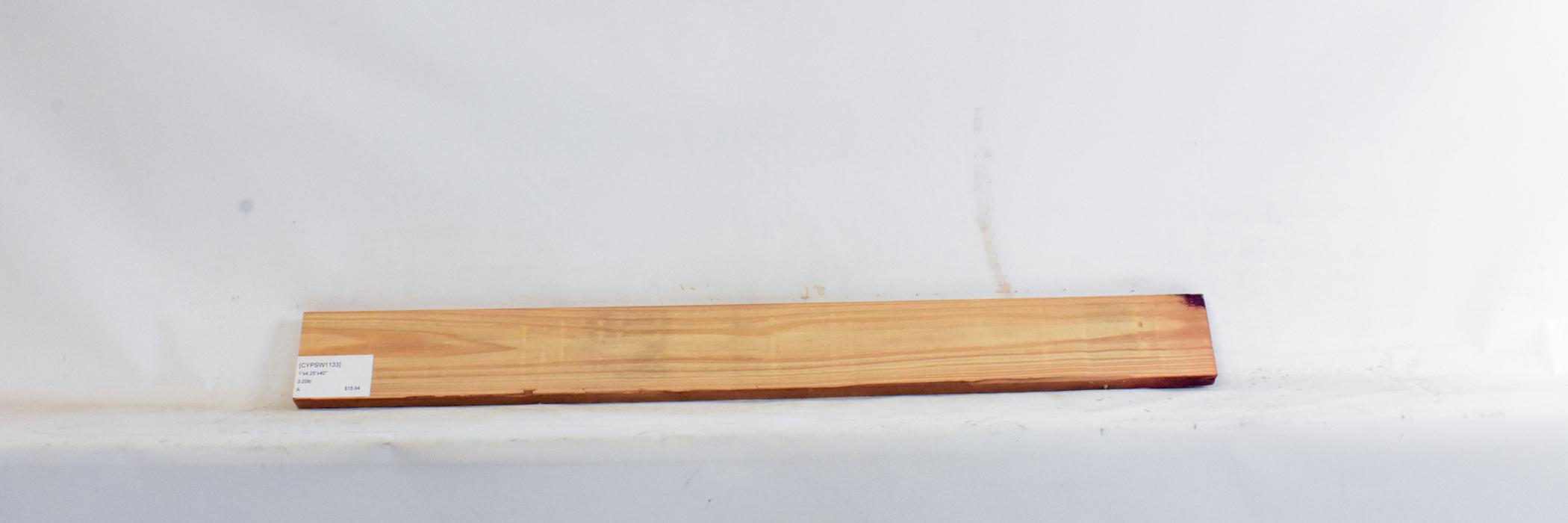 Cypress - Swamp 1 CYPSW1133_1