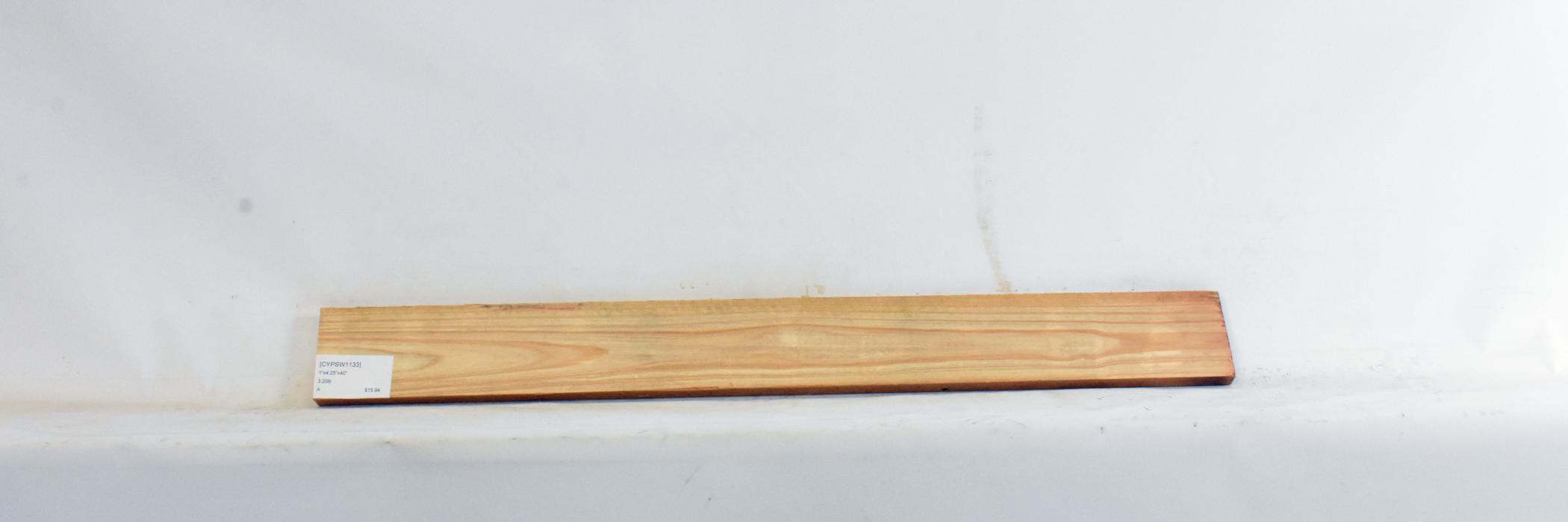 Cypress - Swamp 2 CYPSW1133_2