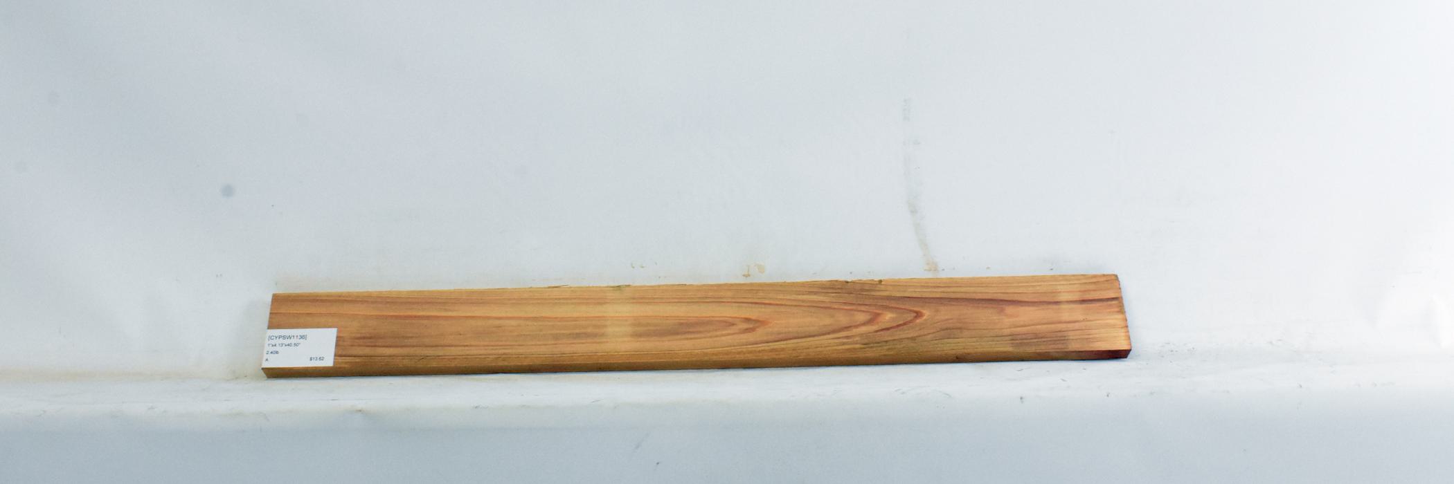 Cypress - Swamp 2 CYPSW1136_2