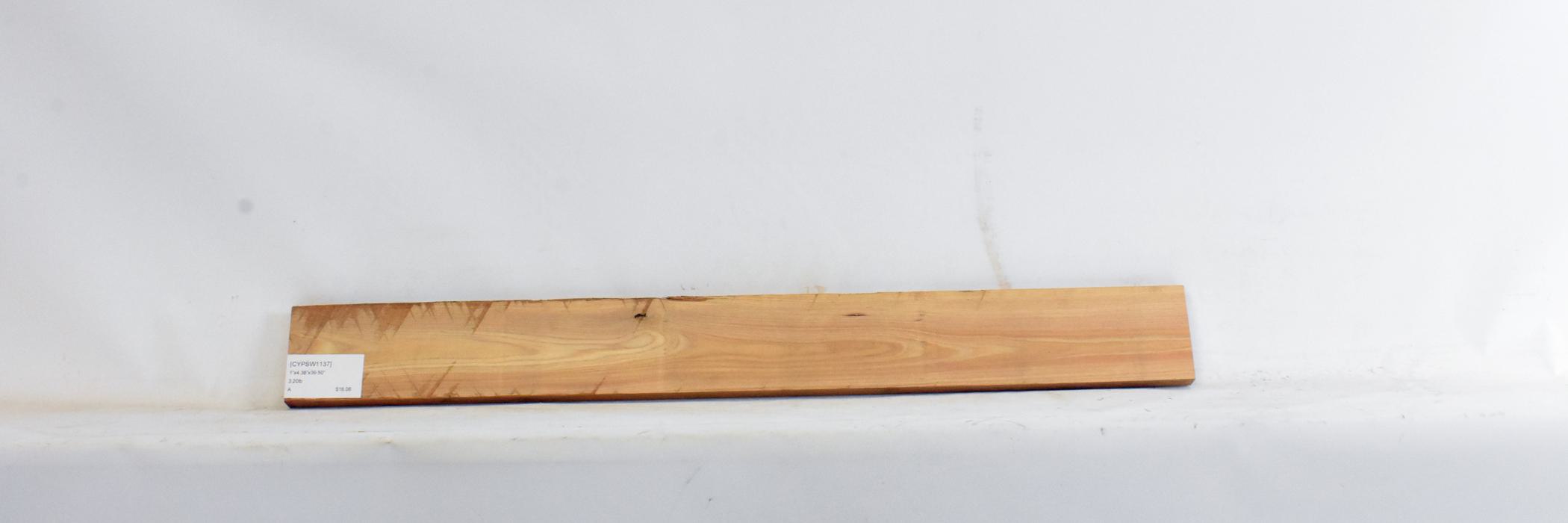 Cypress - Swamp 2 CYPSW1137_2