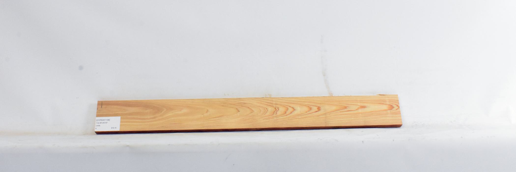 Cypress - Swamp 1 CYPSW1138_1