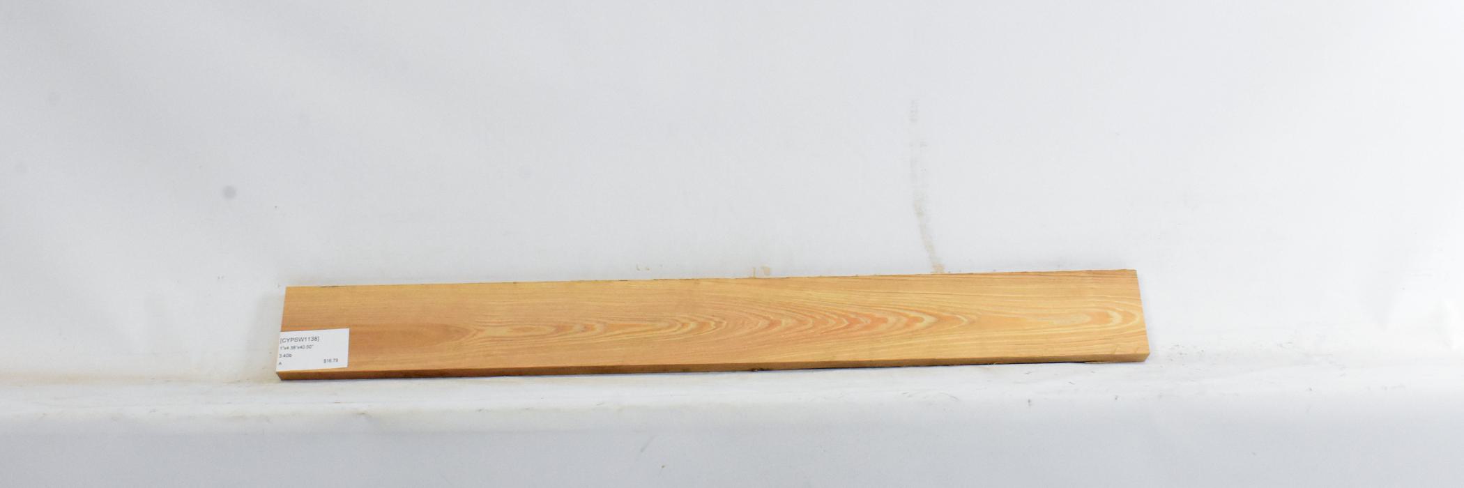 Cypress - Swamp 2 CYPSW1138_2