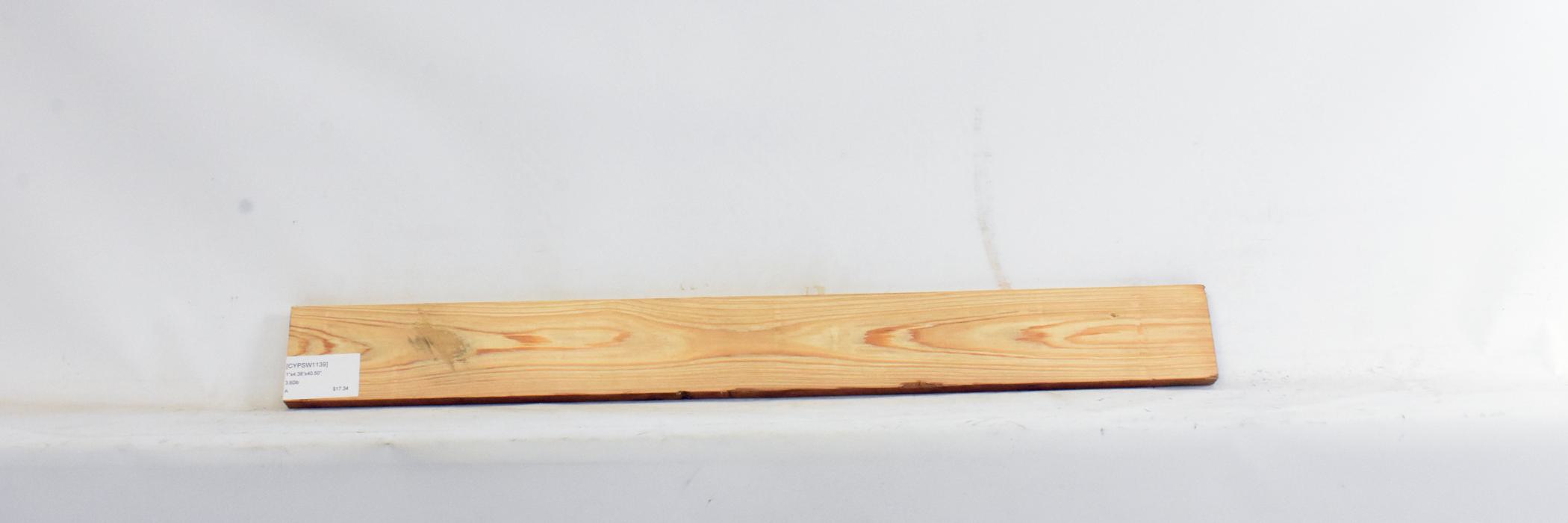 Cypress - Swamp 1 CYPSW1139_1