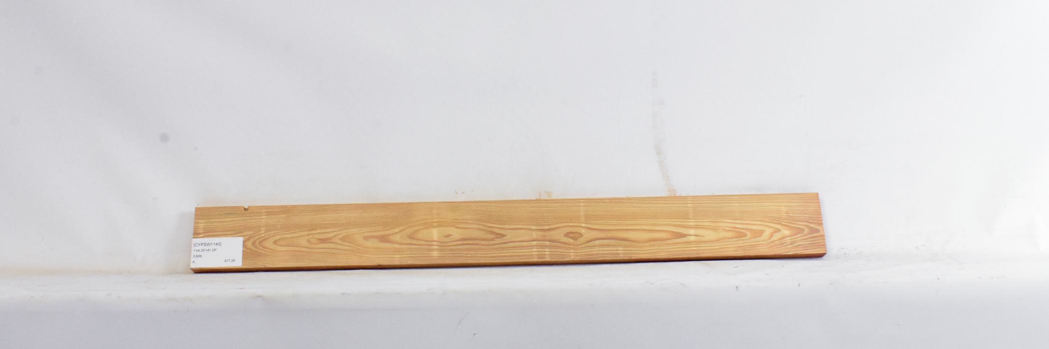 Cypress - Swamp 1 CYPSW1140_1