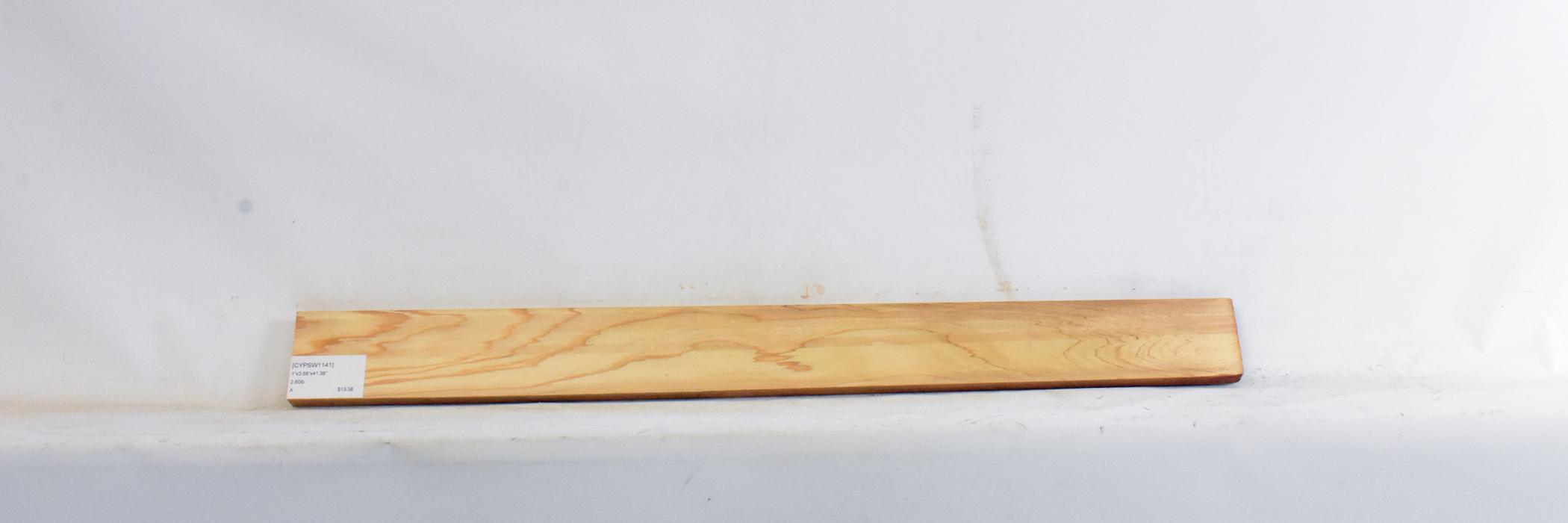 Cypress - Swamp 1 CYPSW1141_1