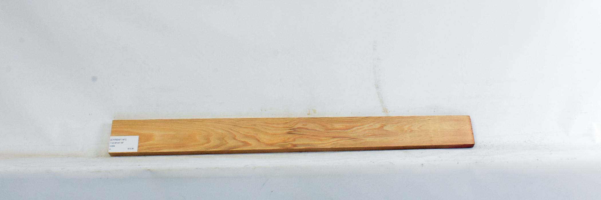 Cypress - Swamp 2 CYPSW1141_2