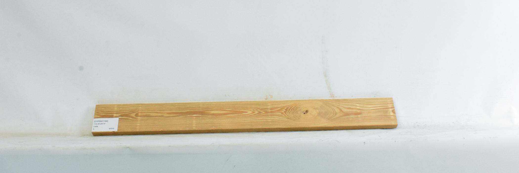 Cypress - Swamp 1 CYPSW1144_1