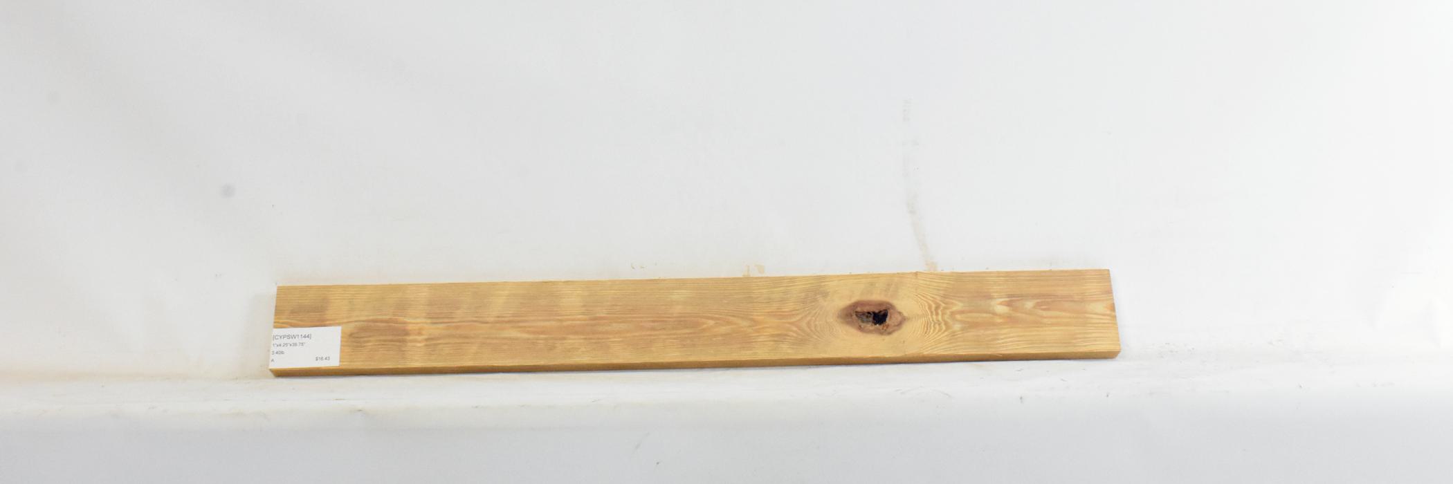 Cypress - Swamp 2 CYPSW1144_2