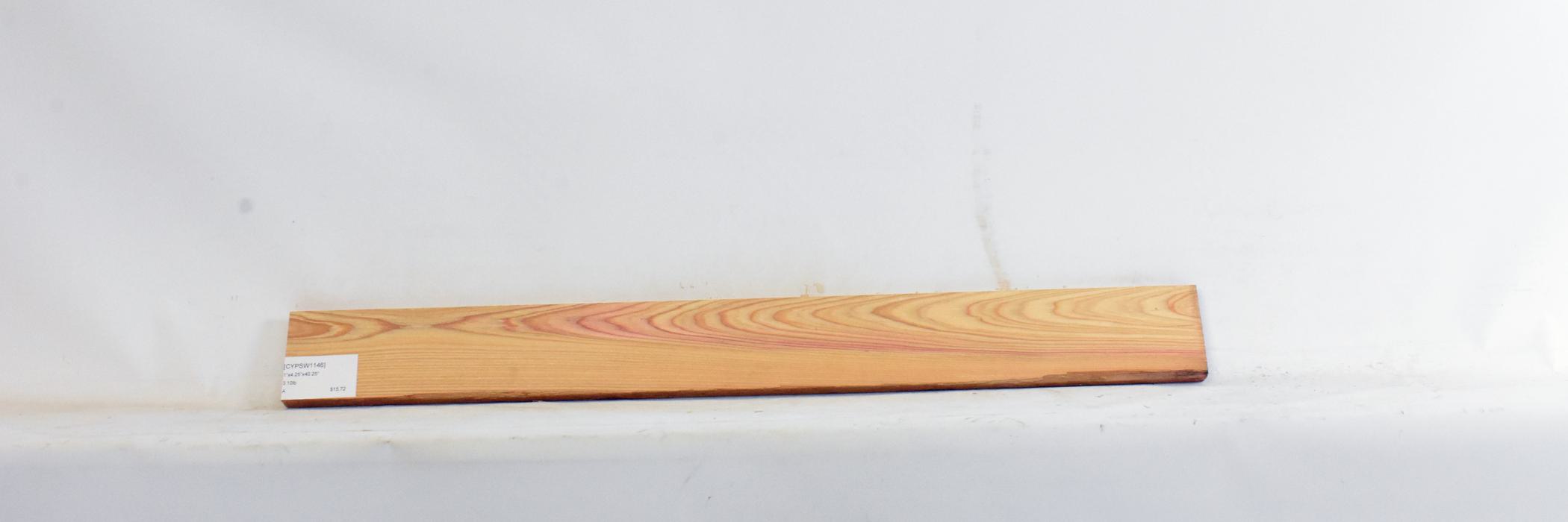 Cypress - Swamp 2 CYPSW1146_2