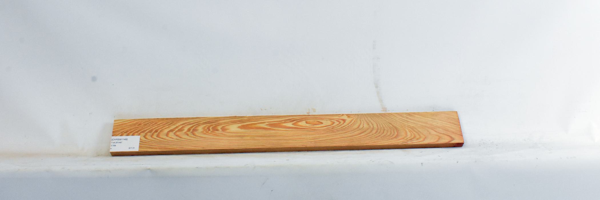 Cypress - Swamp 2 CYPSW1149_2