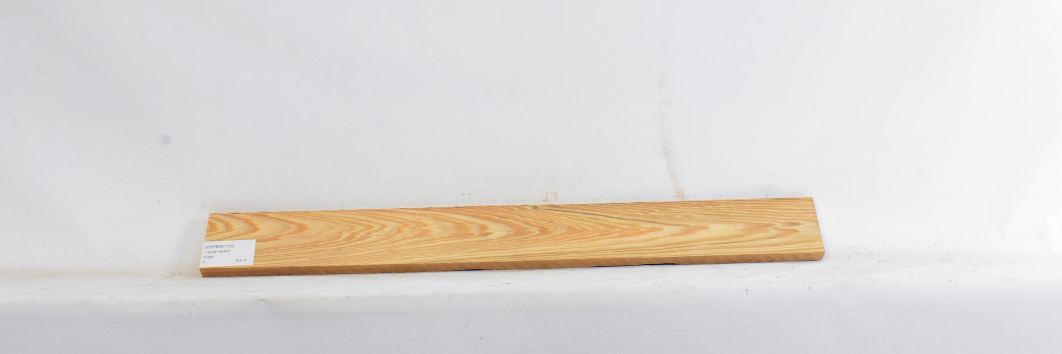 Cypress - Swamp 1 CYPSW1153_1