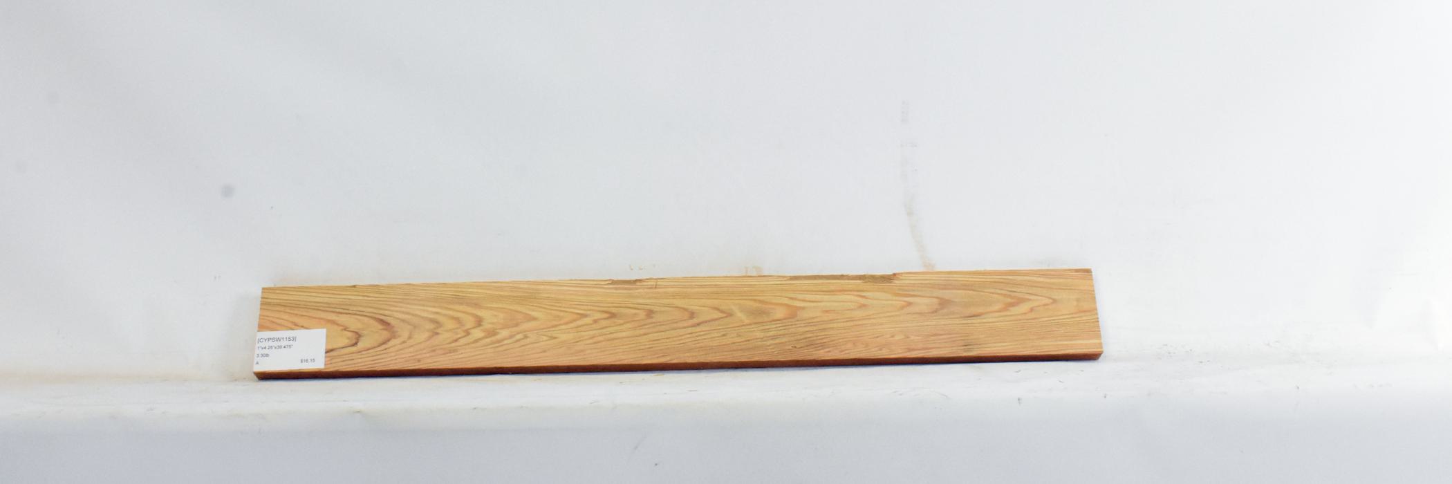 Cypress - Swamp 2 CYPSW1153_2