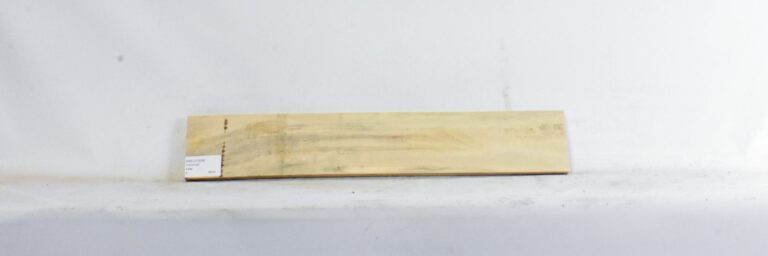 HOLLY1225_1