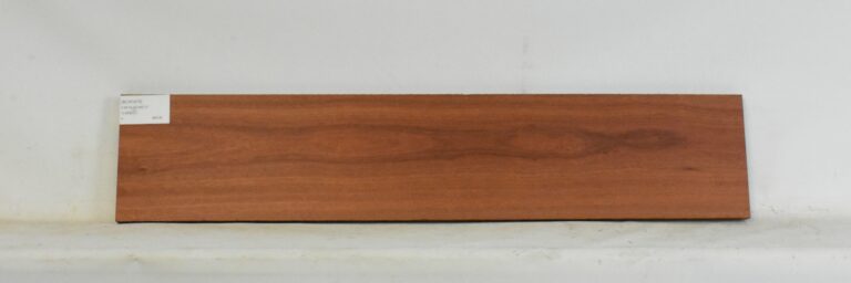 BLW1479_1