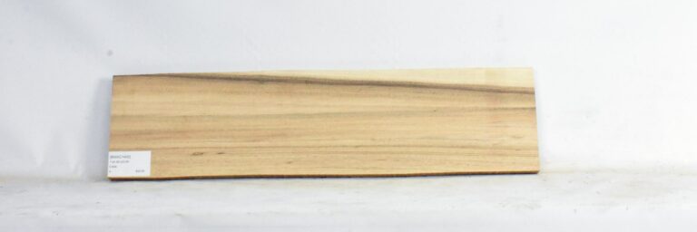 Blackwood - Acacia 7 BWAC1400_1