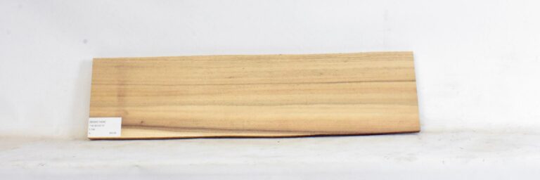 Blackwood - Acacia 17 BWAC1404_1