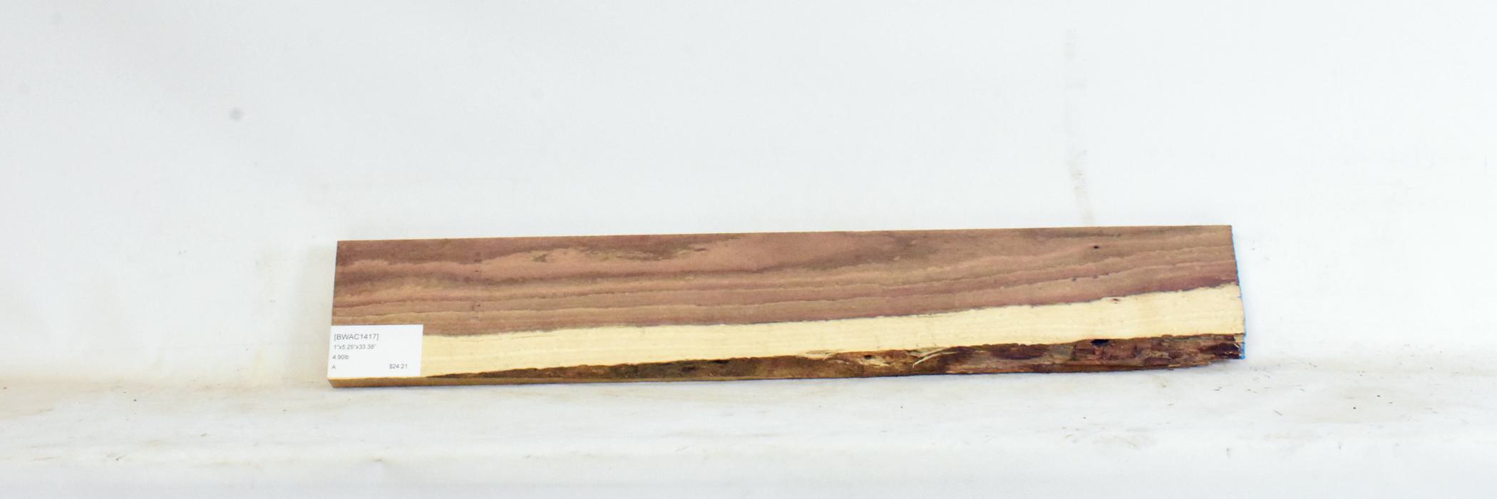Blackwood - Acacia 2 BWAC1417_2