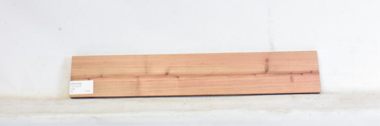 Cedar - Japanese 5 CEDJ1438_1