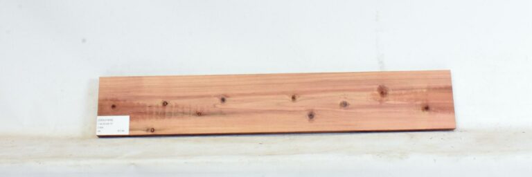 Cedar - Japanese 4 CEDJ1439_1