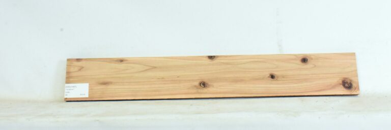 Cedar - Japanese 2 CEDJ1441_1