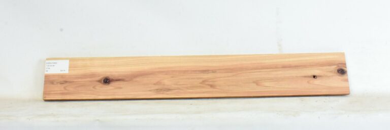 Cedar - Japanese 1 CEDJ1442_1